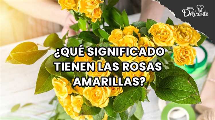 Amistad y alegría que representan las rosas amarillas