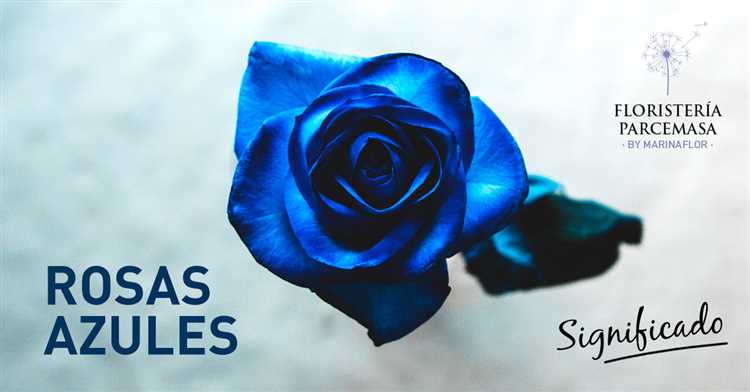 ¿Cuál es el significado de una rosa azul?