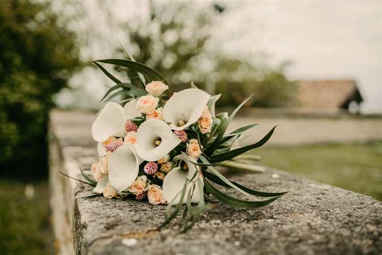 Orquídeas con formas únicas