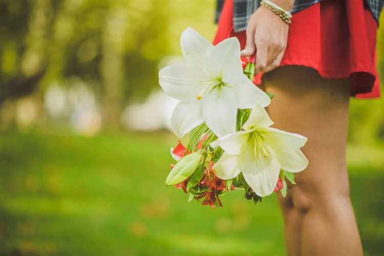 ¿Qué flores son las más elegantes?